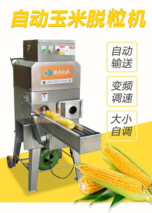 食品級不銹鋼玉米脫粒機 鮮玉米自動剝粒的高效出入庫解決方案